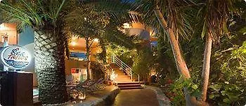 Seafalios Apartament Kalamaki (Chania)